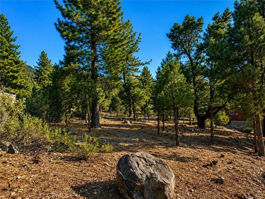 15120 Acacia, Pine Mountain Club, CA 93222 - #2