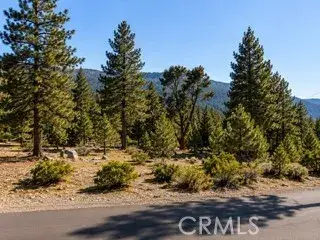 15120 Acacia, Pine Mountain Club, CA 93222 - #3
