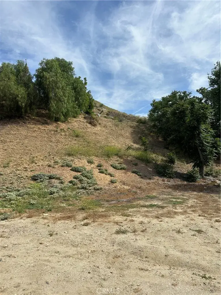 30021 Buchanan, Castaic, CA 91384 - #2