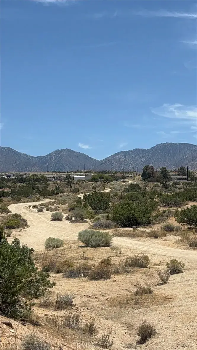 0 126th, Pearblossom, CA 93553 - #2
