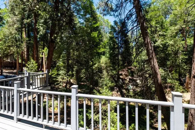 29054 Alder Ter, Cedar Glen, CA 92321 - #3