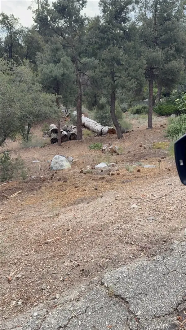 1620 Zion, Pine Mountain Club, CA 93222