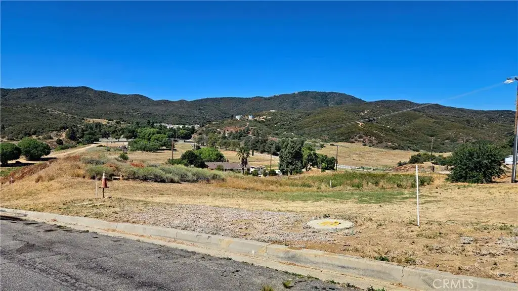 0 Cabin Dr Vicinity Hardtree Dr, Lake Hughes, CA 93532 - #1