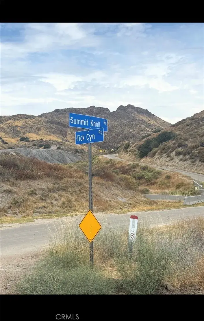 0 Tick Canyon Road, Approximately  Mile South, Agua Dulce, CA 91350 - #3