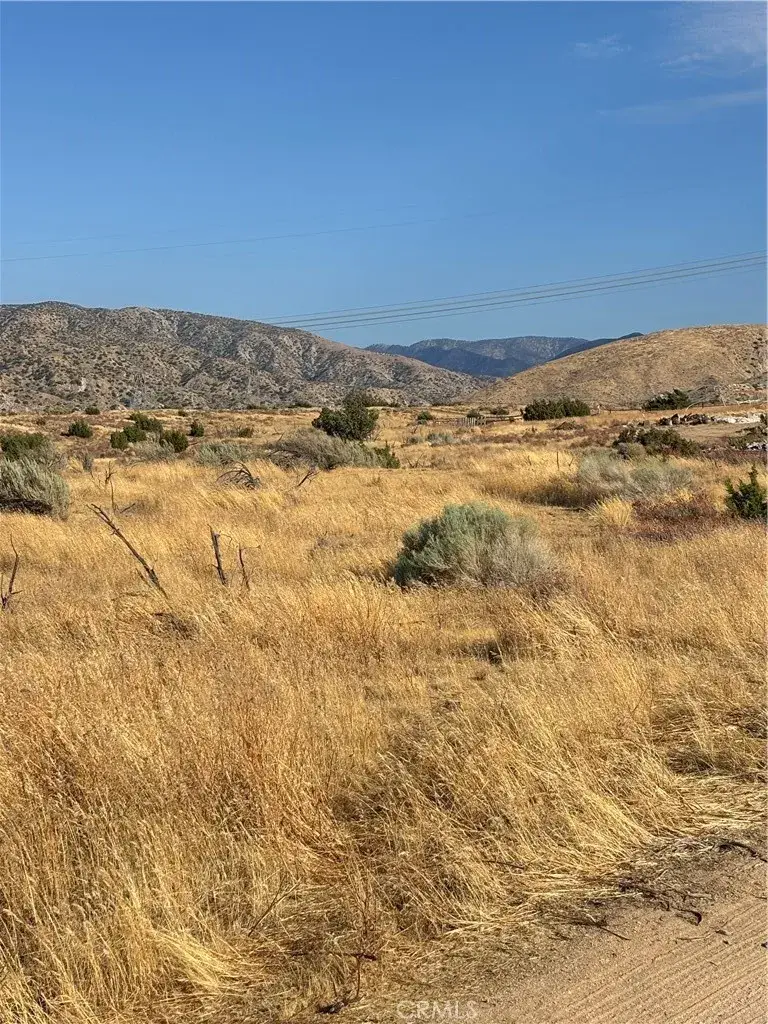0 Vic E V4, Palmdale, CA 93550 - #3
