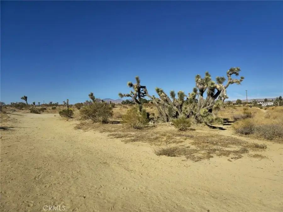 5 Mojave Tropical, Rosamond, CA 93560 - #3