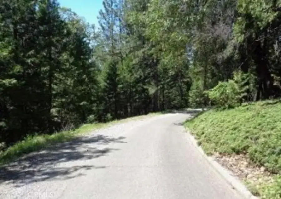 4250 Kingswood, Pollock Pines, CA 95726 - #2