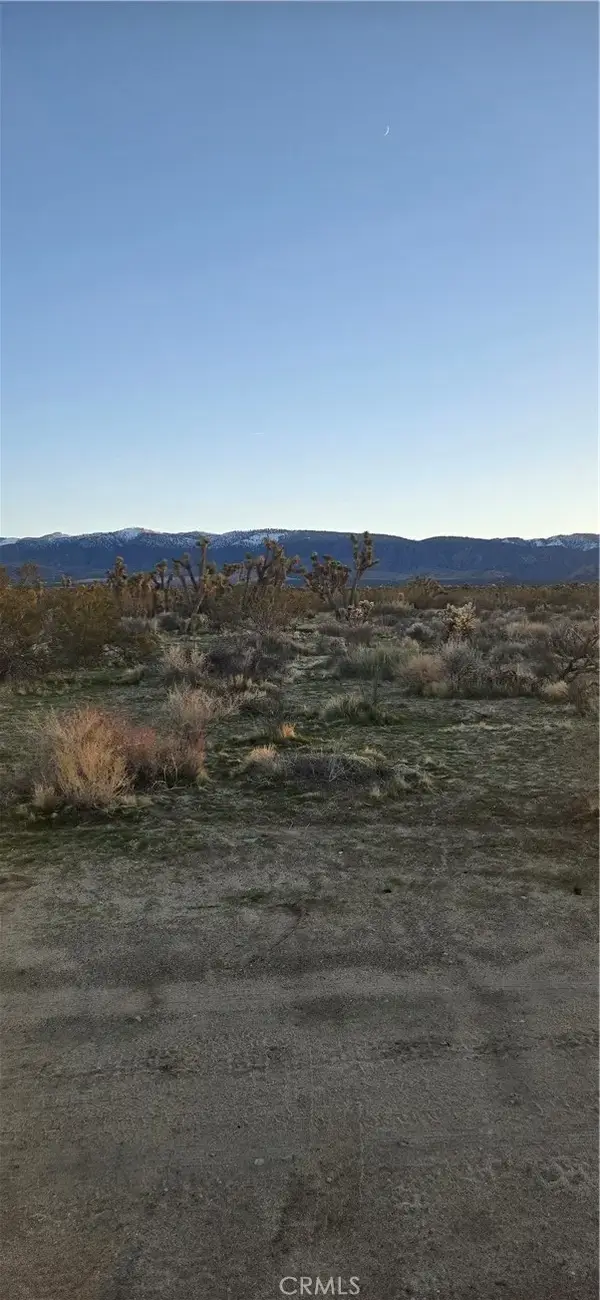 253 Vac/vic, Littlerock, CA 93591