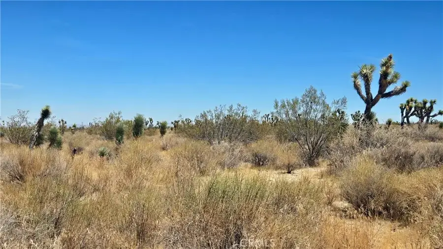 0 Vicinity Avenue X4 & 231st E, Llano, CA 93544 - #2