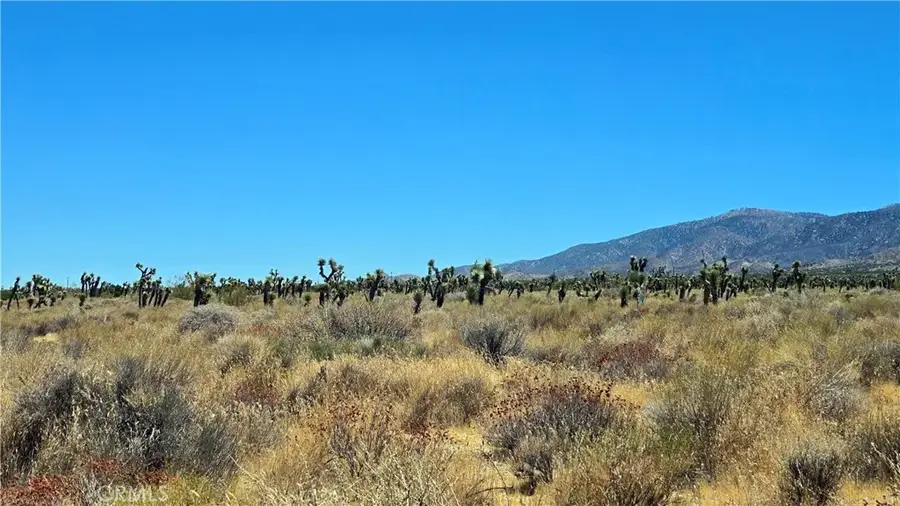 0 Vicinity Avenue X4 & 231st E, Llano, CA 93544 - #3