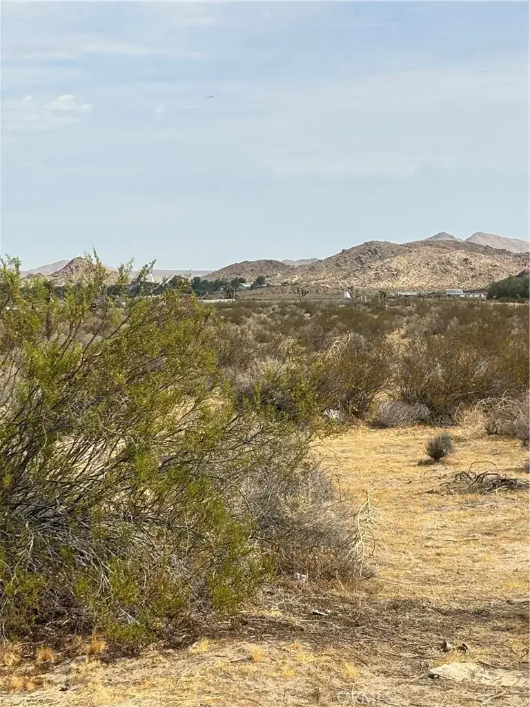 0 Cor Palmdale Blvd 172, Palmdale, CA 93591 - #2