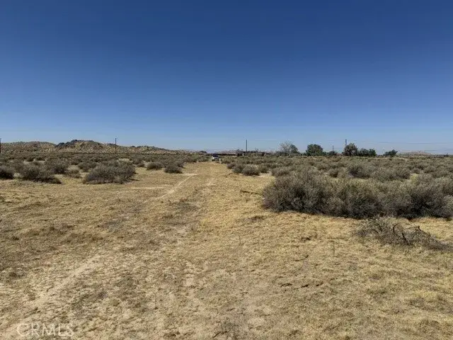 39060 E 230th, Palmdale, CA 93591 - #2