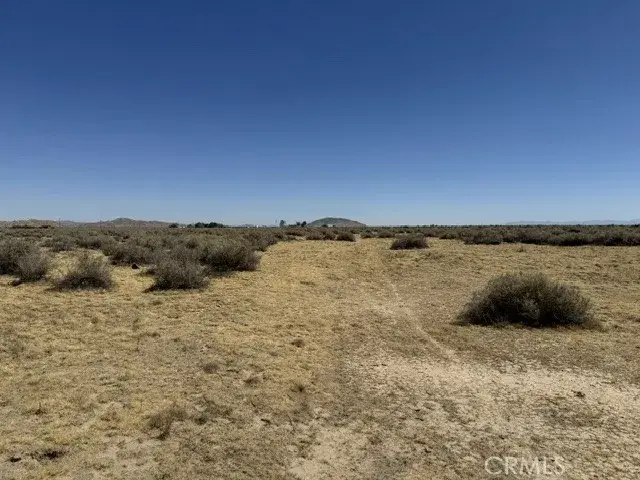 39060 E 230th, Palmdale, CA 93591 - #3