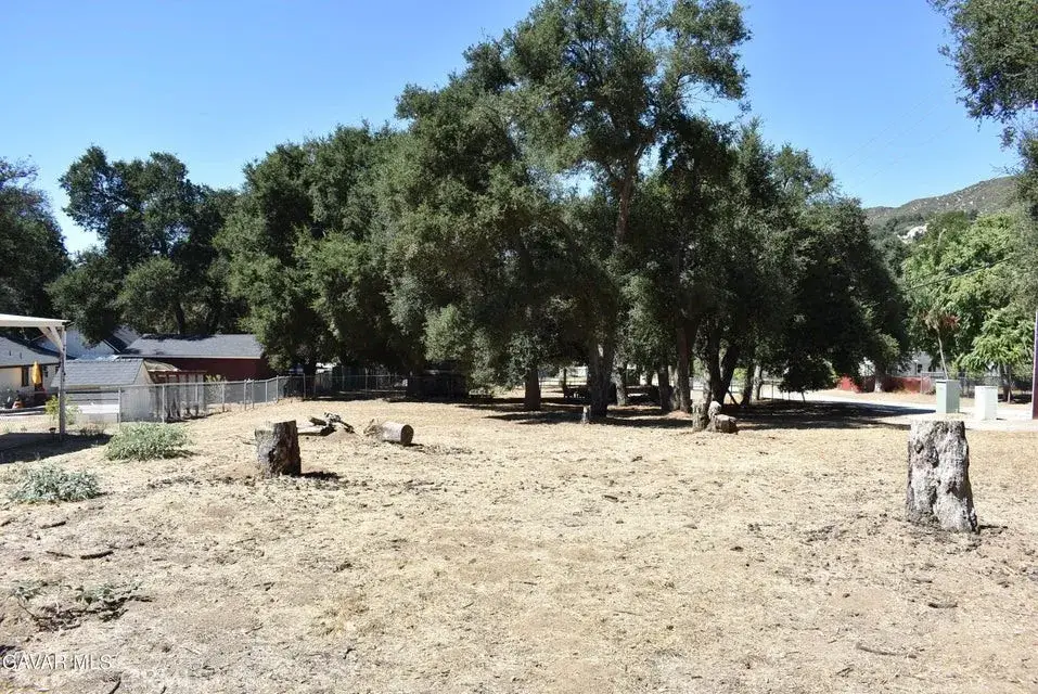 15206 Punky Canyon & Calle El Bosque, Green Valley, CA 91350 - #1