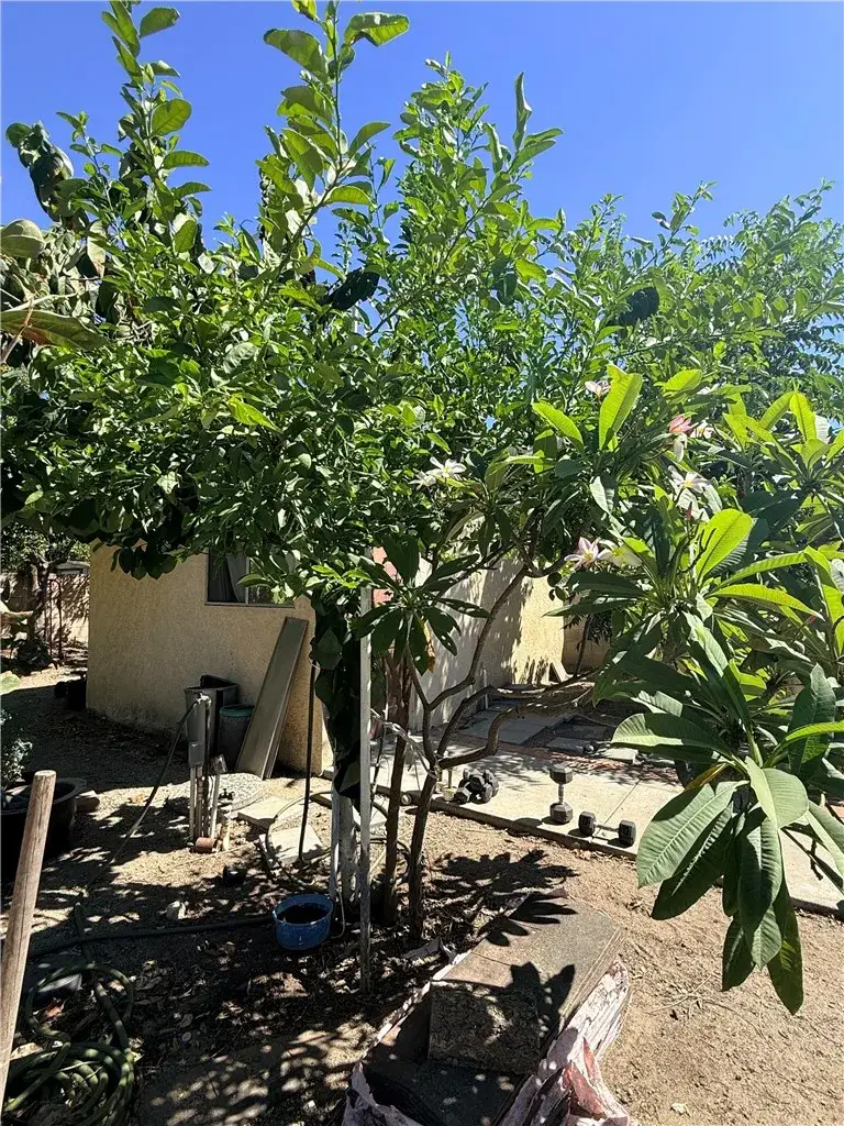 10416 Cayuga, Pacoima, CA 91331 - #3