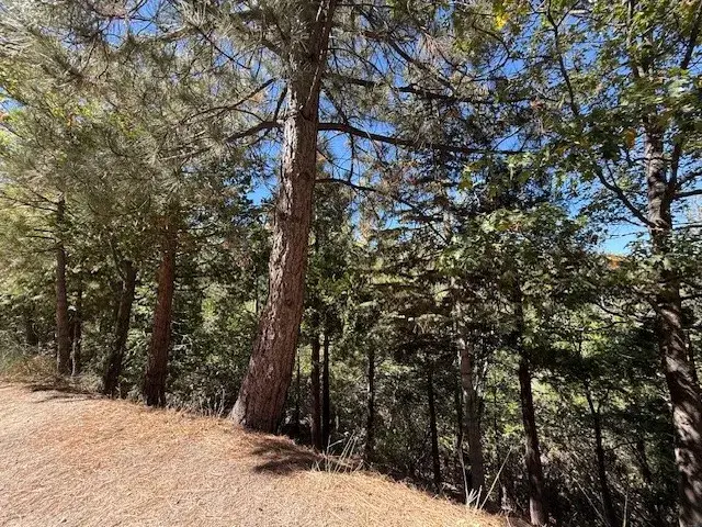 0 Sandalwood, Lake Arrowhead, CA 92352 - #3