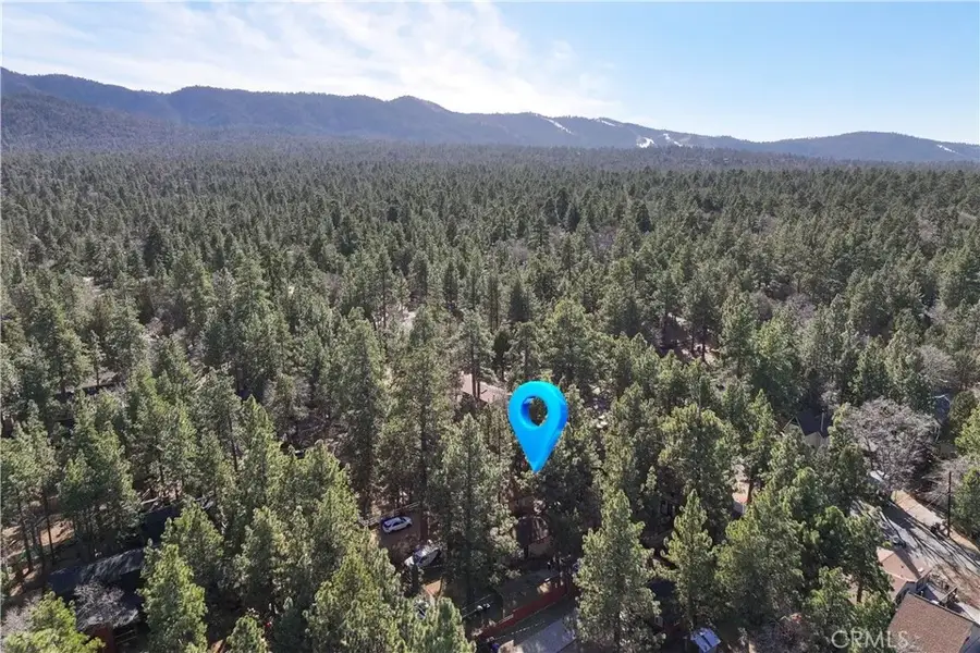 314 Victoria Lane, Sugarloaf, CA 93286 - #2