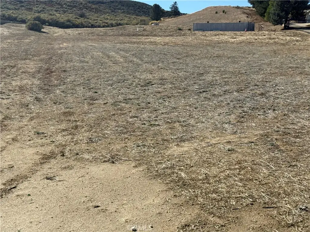 0 90th, Leona Valley, CA 93551 - #1
