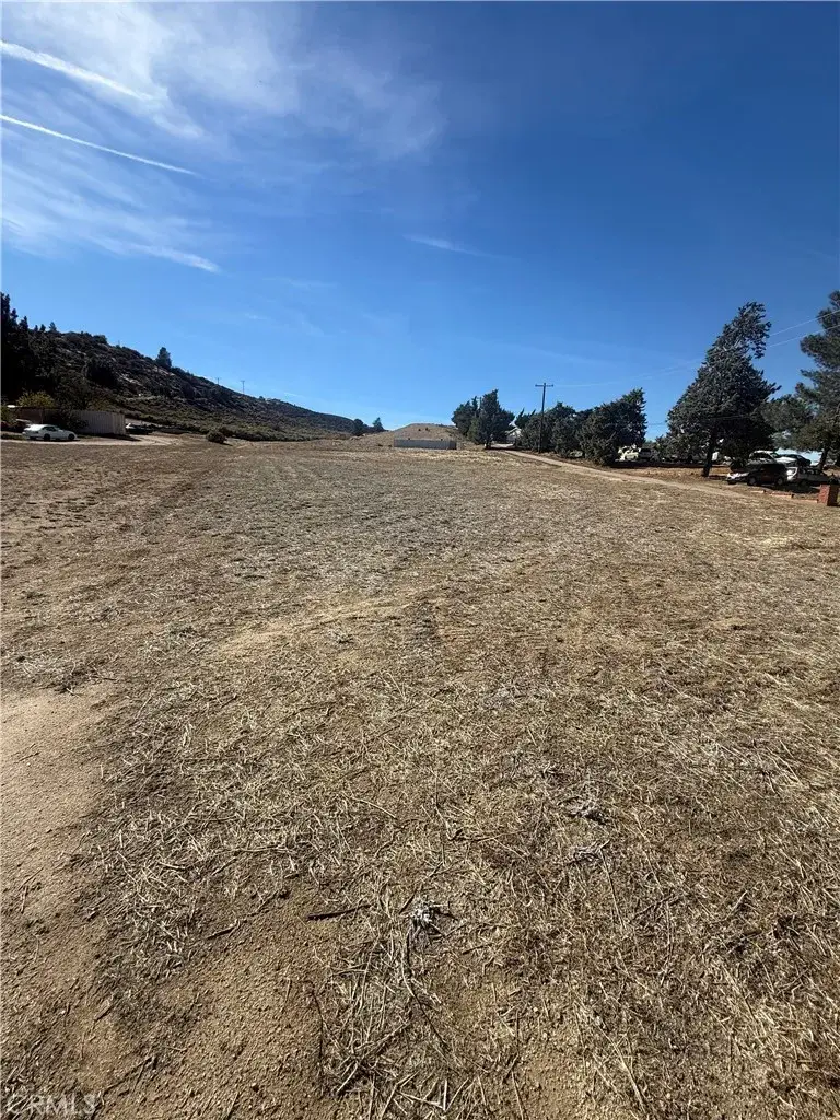 0 90th, Leona Valley, CA 93551 - #2