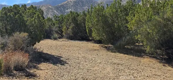 0 121st, Juniper Hills, CA 93543