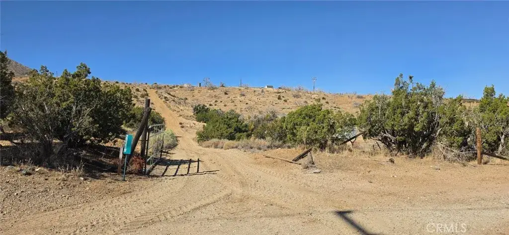 29319 121st East, Juniper Hills, CA 93543 - #1
