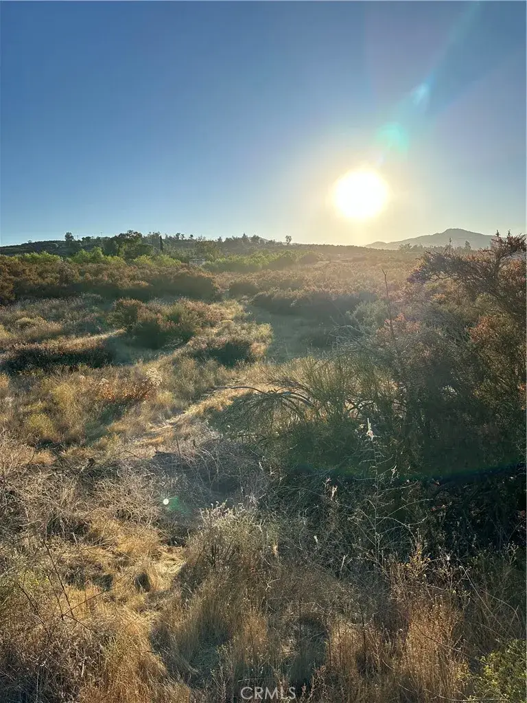 53 Madera, Hemet, CA 92544 - #3