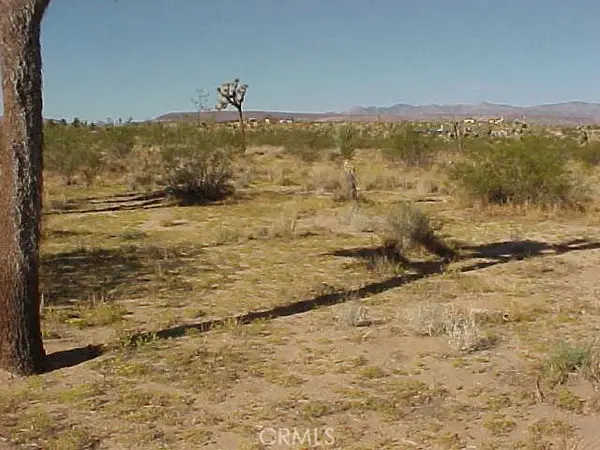 528 Landers, Landers, CA 92285