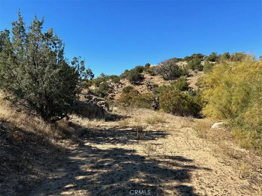 33 Broken Wheel, Anza, CA 92539 - Image #1