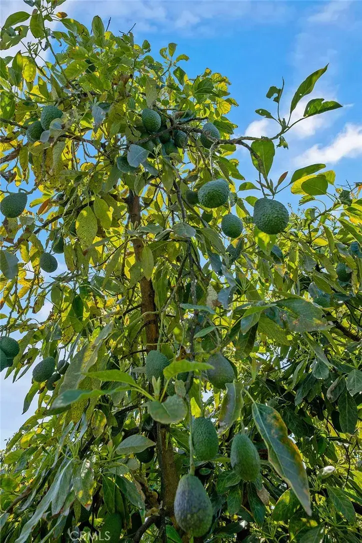 48825 Via Vaquero, Temecula, CA 92590 - Image #3