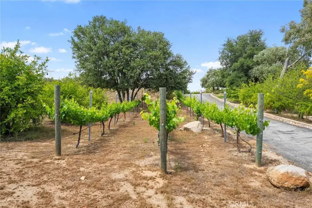 0 Hombre, Murrieta, CA 92562 - #1