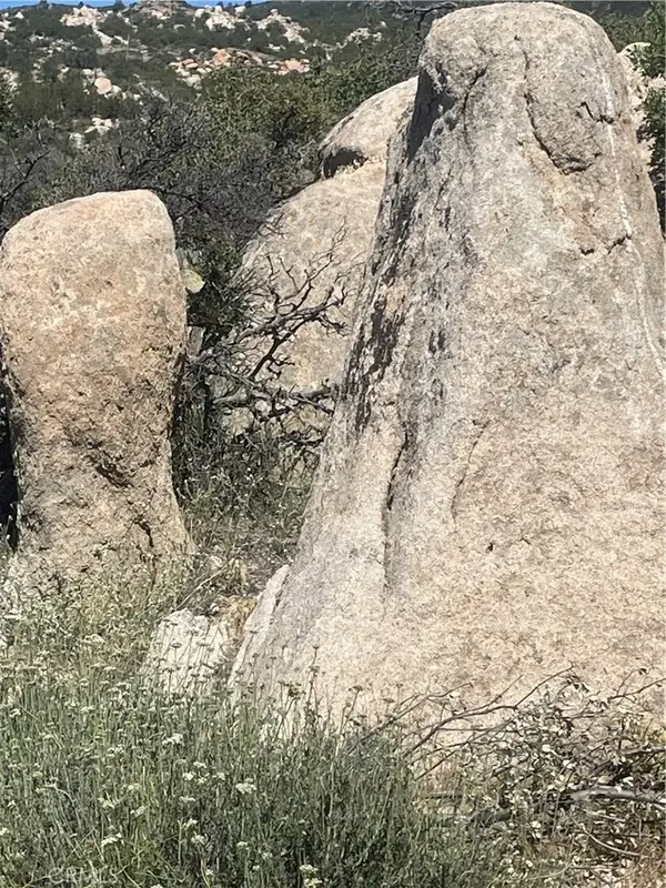 33 Sweetbush, Anza, CA 92539