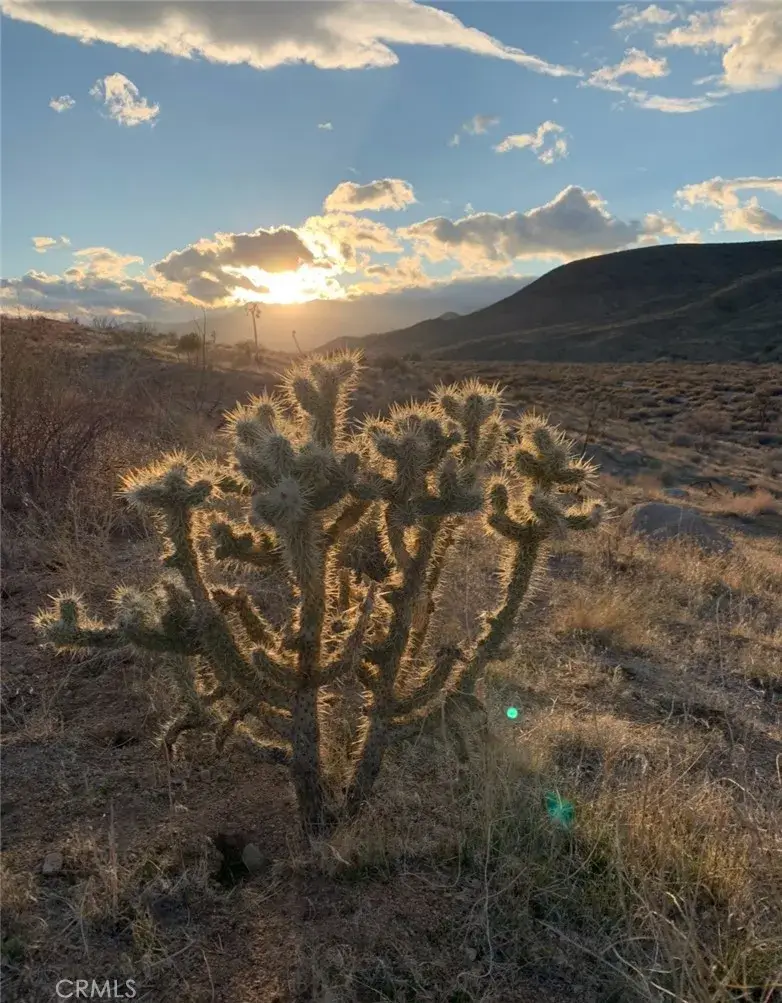 0 E, Pioneertown, CA 92268 - Image #1