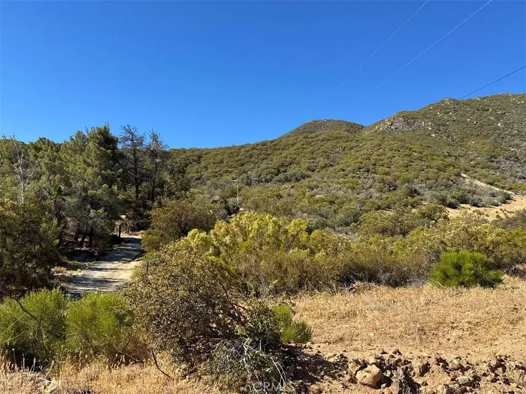 0 Chapman, Anza, CA 92539 - Image #1