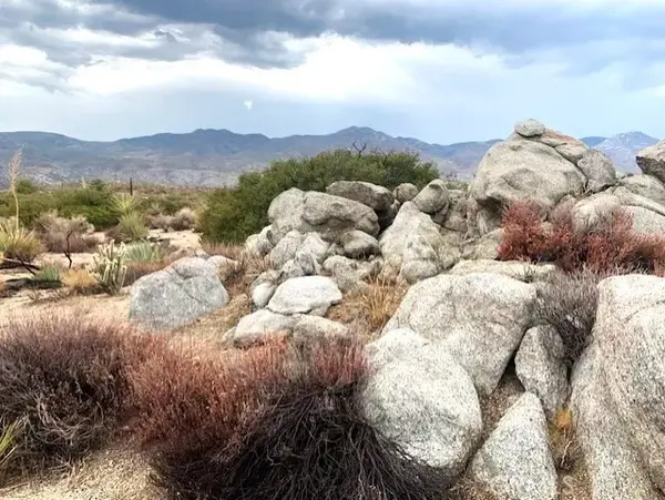 238 Casino, Mountain Center, CA 92561