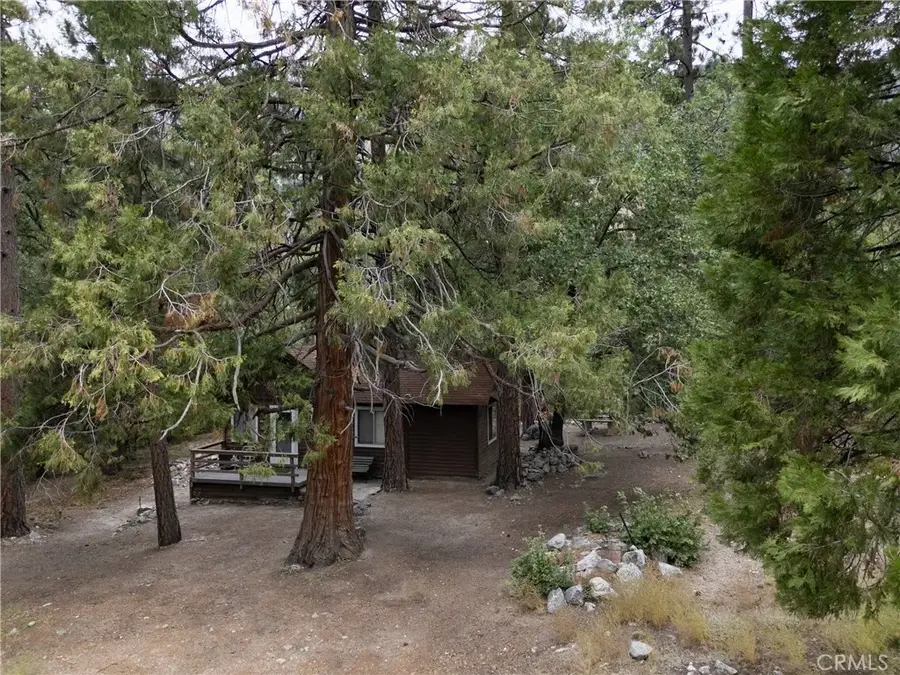 9165 Coffey Road, Forest Falls, CA 92339 - Image #2