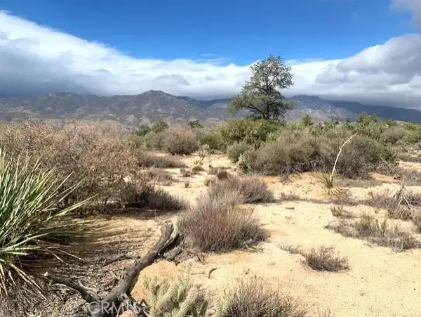 368 Palm Canyon, Mountain Center, CA 92561