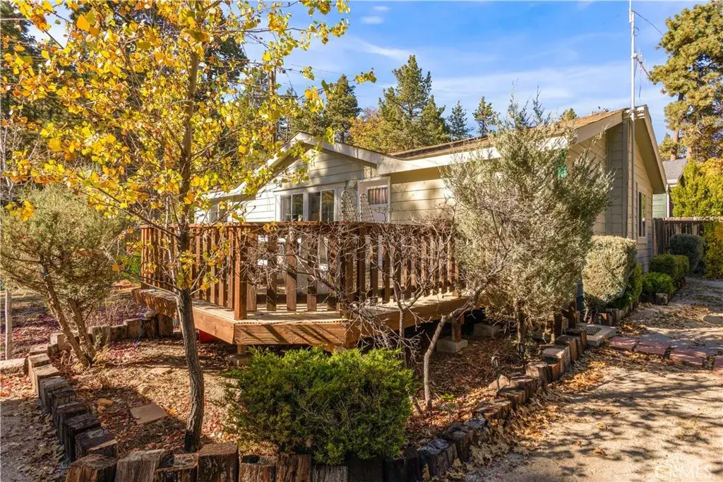23700 Clement Way, Idyllwild, CA 92549 - #1