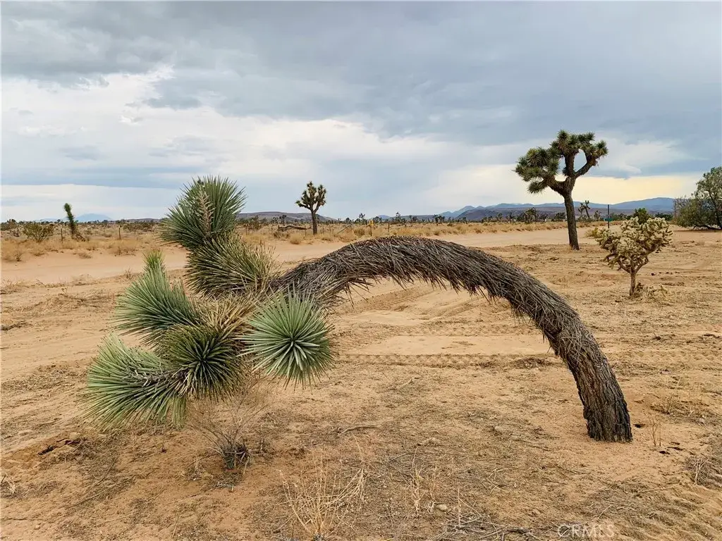 58040 Junipero, Yucca Valley, CA 92284 - #1