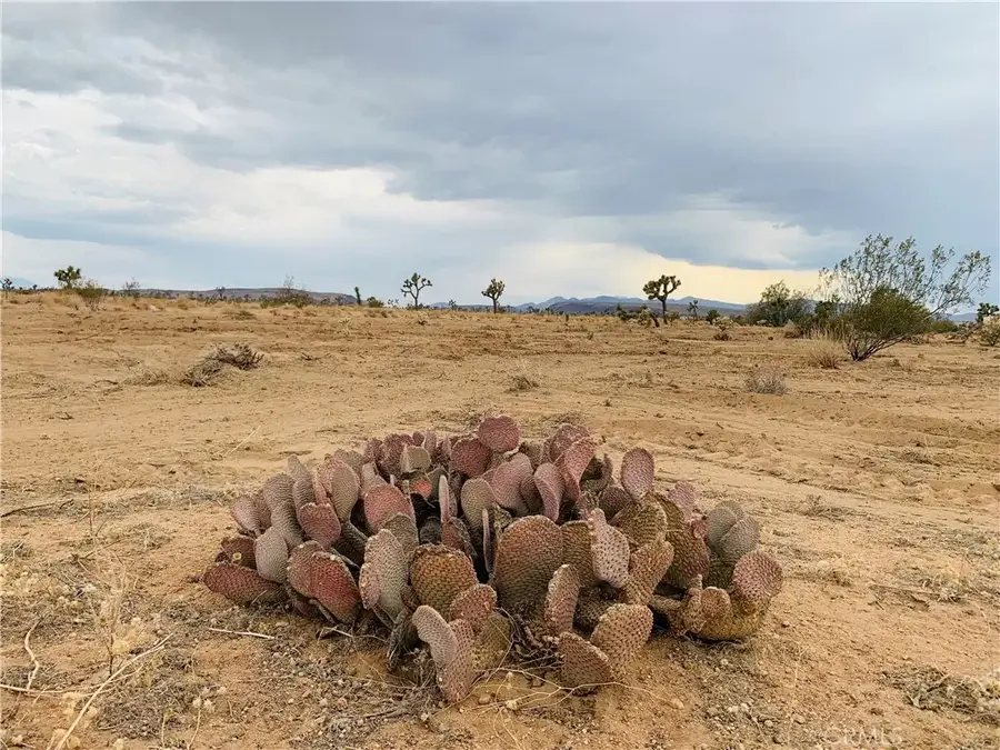 58040 Junipero, Yucca Valley, CA 92284 - #2