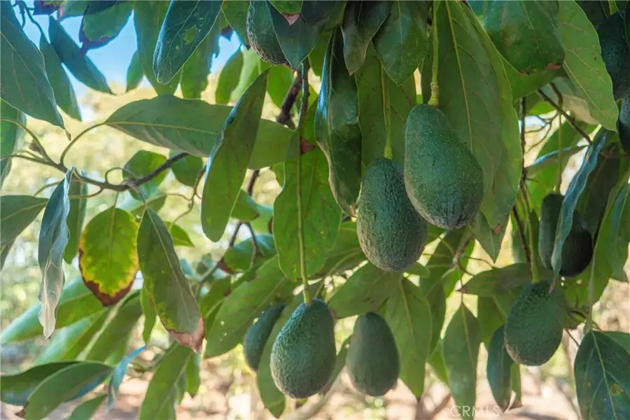 8 Via Horca, Temecula, CA 92590 - #3