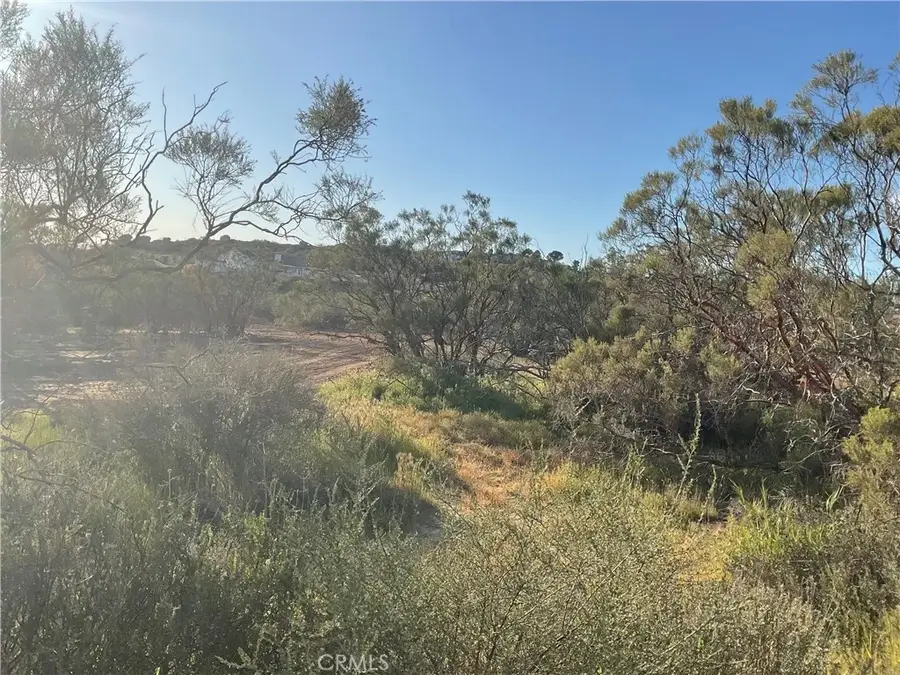 687 Saddleback, Aguanga, CA 92536 - #2