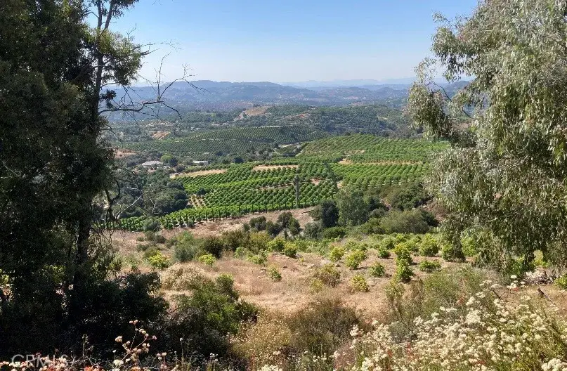 37 El Calamar, Temecula, CA 92590 - #1