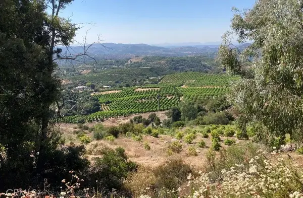 37 El Calamar, Temecula, CA 92590