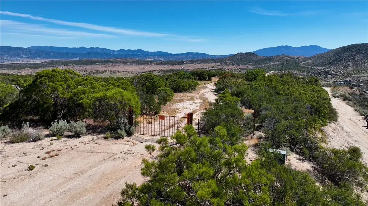 55355 Tule Peak, Idyllwild, CA 92536 - #1