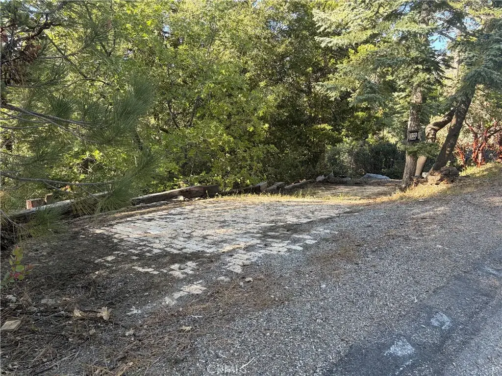 8 Big Rock, Idyllwild, CA 92549 - #1