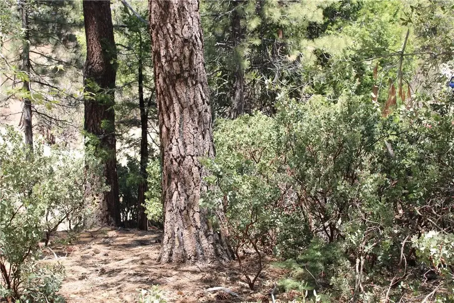 8 Big Rock, Idyllwild, CA 92549 - #2