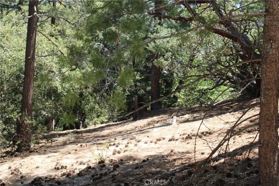 8 Big Rock, Idyllwild, CA 92549 - #3