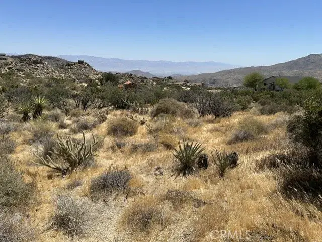 7 Carrizo, Mountain Center, CA 92561 - #2