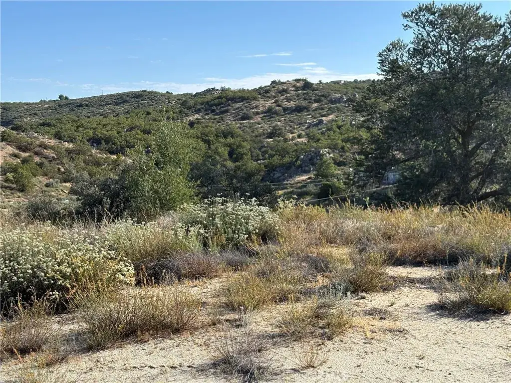 0 Dry Wash, Anza, CA 92539 - #1