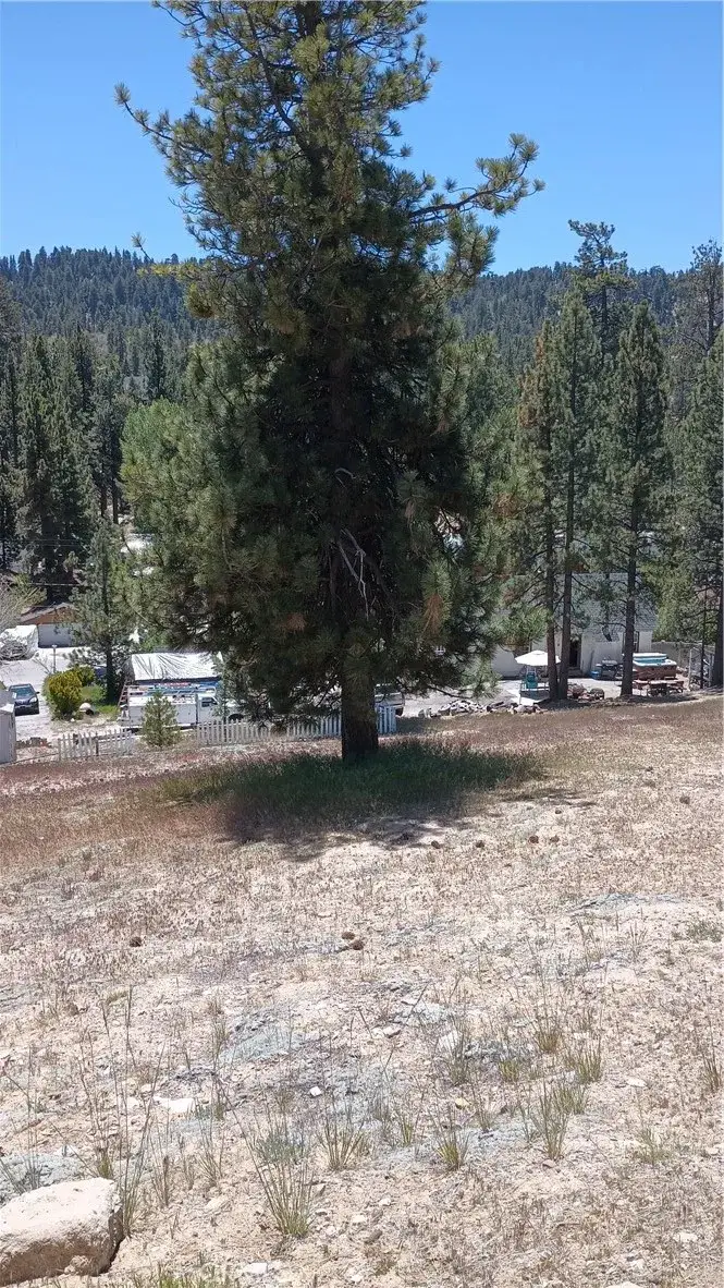 39237 Crest, Big Bear Lake, CA 92315 - #1
